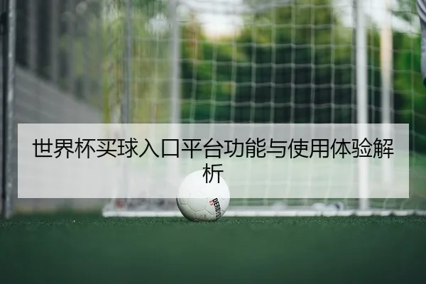世界杯买球入口平台功能与使用体验解析