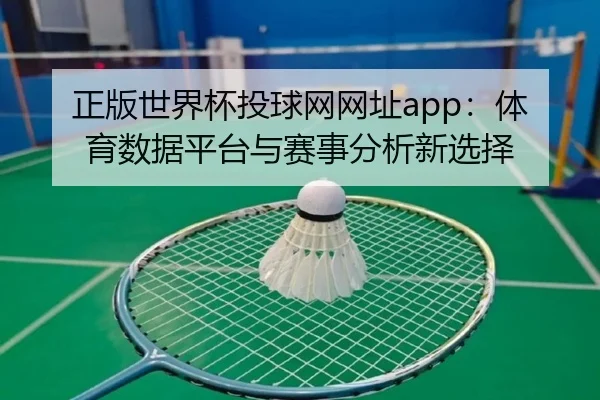 正版世界杯投球网网址app：体育数据平台与赛事分析新选择